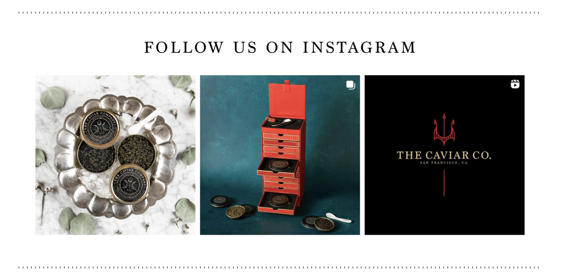 Follow Us On Instagram